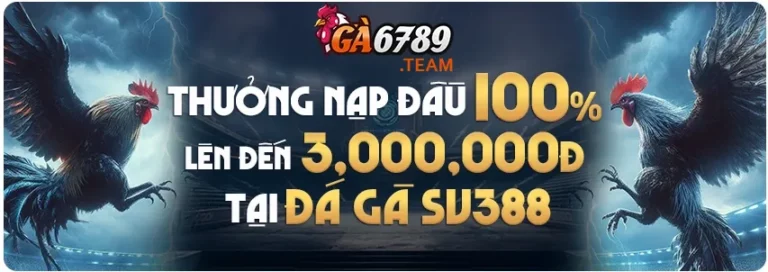 Ga6789 khuyến mãi nạp lần đầu đá gà