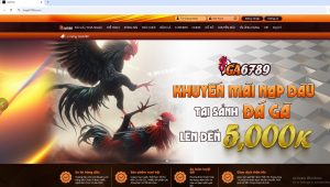 Boga6789a.com là website chính thức đá gà Ga6789